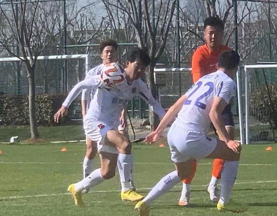 男女艹b