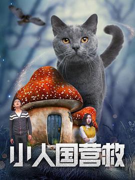 性视界