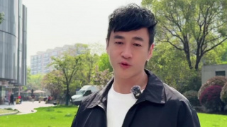 成年人视频在线免费播放